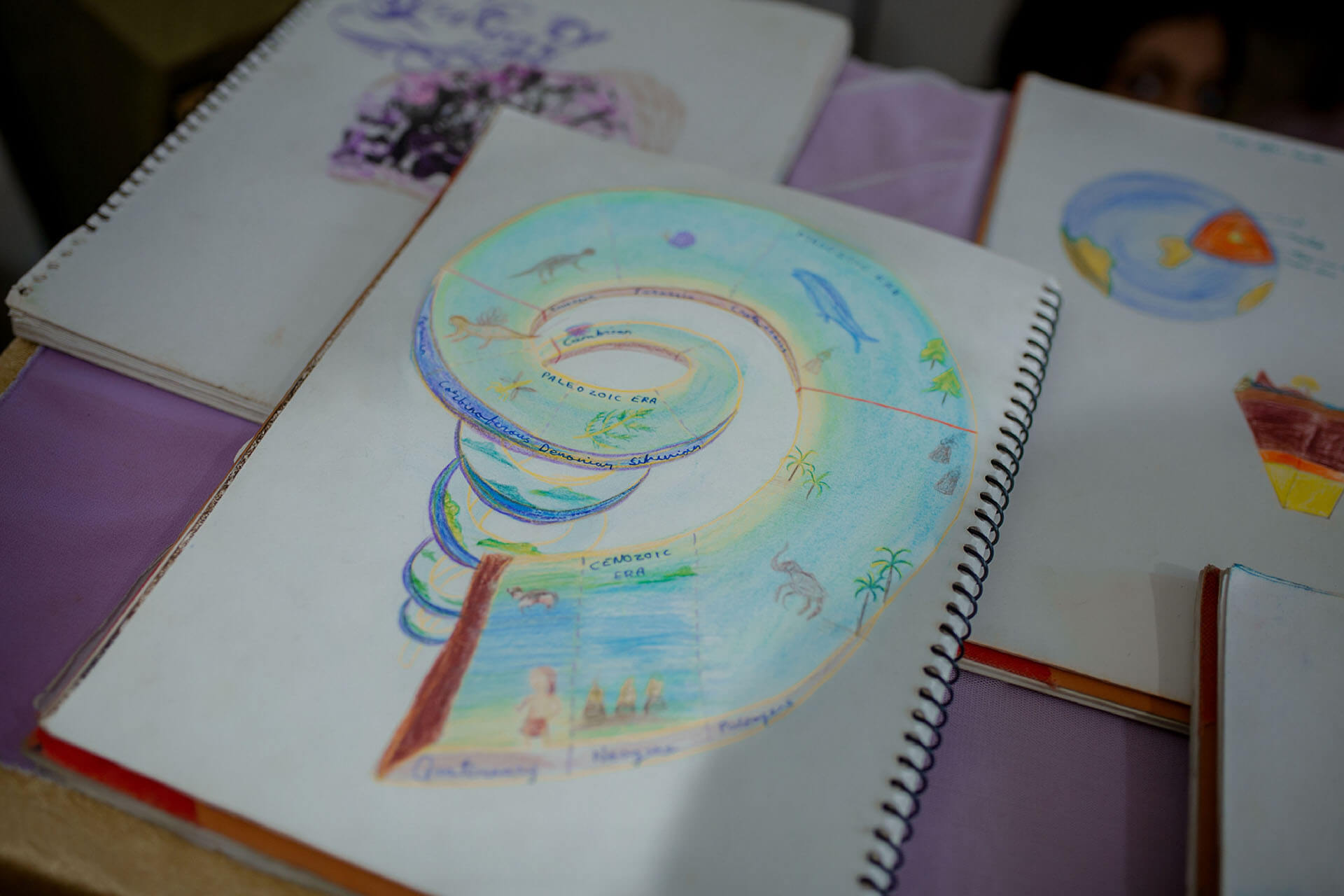 The Advance Steiner Course