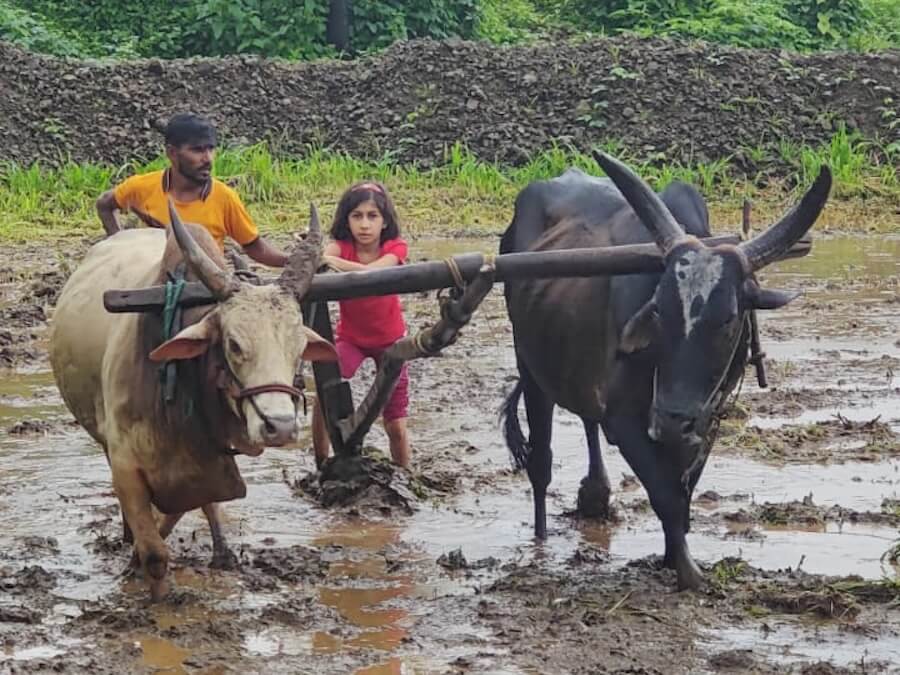 Farming Trip - Image 4